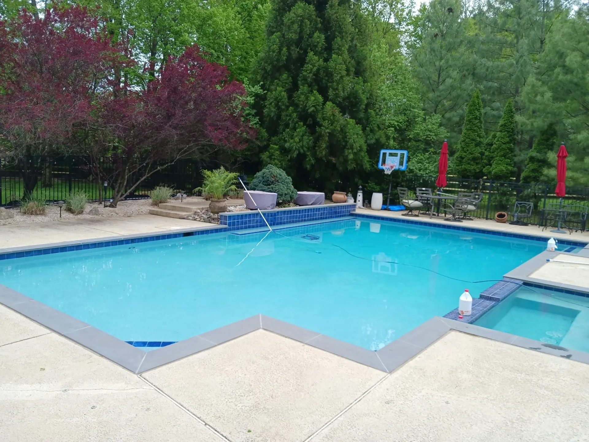 Backyard Pool